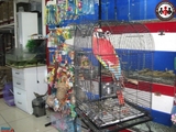 Cennet Akvaryum Pet Shop